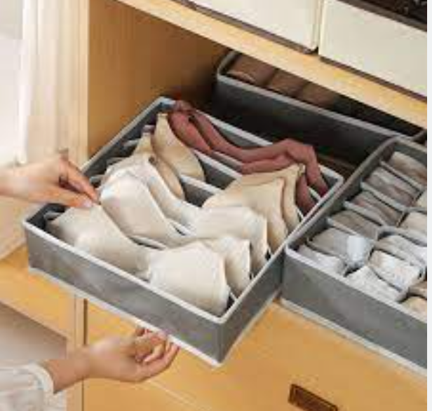 ORGANIZADOR DE ROPA INTERIOR X 3 PIEZAS